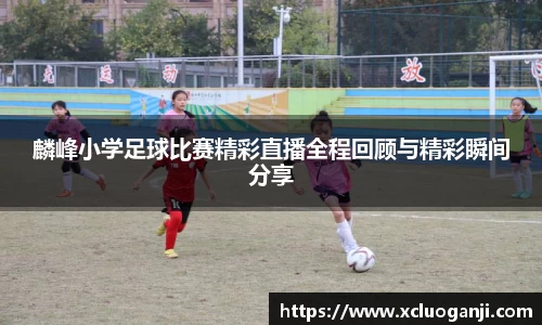 麟峰小学足球比赛精彩直播全程回顾与精彩瞬间分享